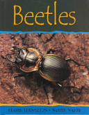 Beetles cover