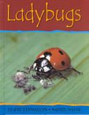 Ladybugs cover