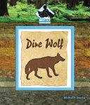 Dire Wolf cover