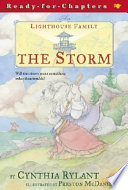 The Lighthouse Family: The Storm cover