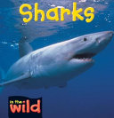 Sharks cover