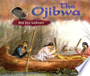 The Ojibwa: Wild Rice Gatherers cover