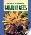 Buzzing Bumblebees cover