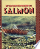 Swimming Salmon cover