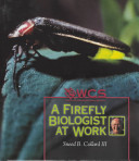 A Firefly Biologist at Work cover