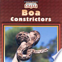 Boa Constrictors cover