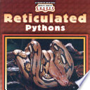 Reticulated Pythons cover
