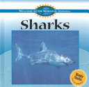 Sharks cover