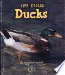 Ducks cover
