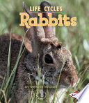 Rabbits cover