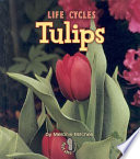 Tulips cover