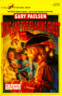 Dunc and the Flaming Ghost cover