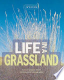 Life in a Grassland cover