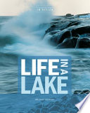 Life in a Lake cover