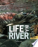 Life in a River cover