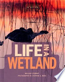 Life in a Wetland cover