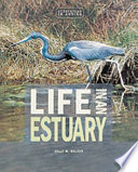 Life in an Estuary cover