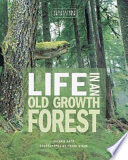 Life in an Old Growth Forest cover