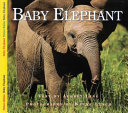 Baby Elephant cover