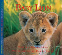 Baby Lion cover