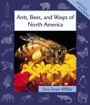 Ants, Bees, and Wasps of North America cover