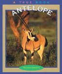 Antelope cover