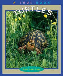 Turtles cover