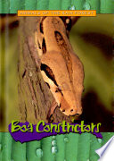 Boa Constrictors cover