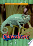 Chameleons cover