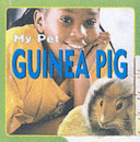 Guinea Pig cover