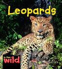 Leopards cover