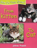 From Kitten to Cat cover