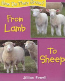 From Lamb to Sheep cover