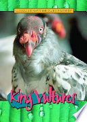 King Vultures cover