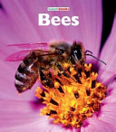Bees cover