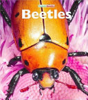 Beetles (Revised Edition) cover