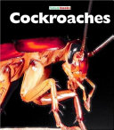 Cockroaches cover