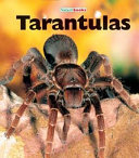 Tarantulas (Revised Edition) cover
