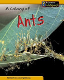 A Colony of Ants cover