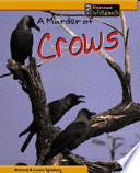 A Murder of Crows cover