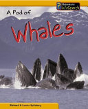 A Pod of Whales cover
