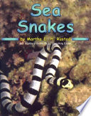 Sea Snakes cover
