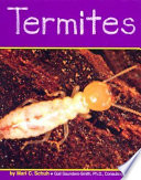 Termites (Insects) cover