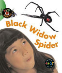 Black Widow Spider cover