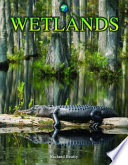 Wetlands cover