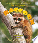 The Life Cycle of a Raccoon cover