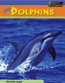 Dolphins cover