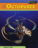 Octopuses cover