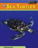 Sea Turtles cover