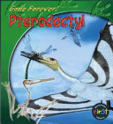Pterodactyl cover
